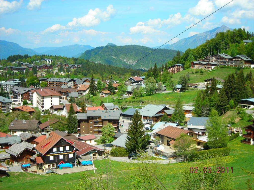 Demi-Chalet Le Bief --Prox Pistes Les Carroz d'Araches Exterior photo